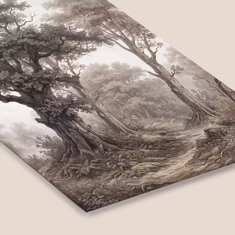 Natuur - Bos - Eik fotolijst zwart zonder passe partout klein -zsfeer6
