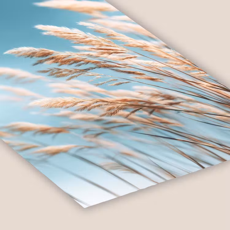 Siergras - Wind - Lichtbruin fotolijst zwart zonder passe partout klein -zsfeer6