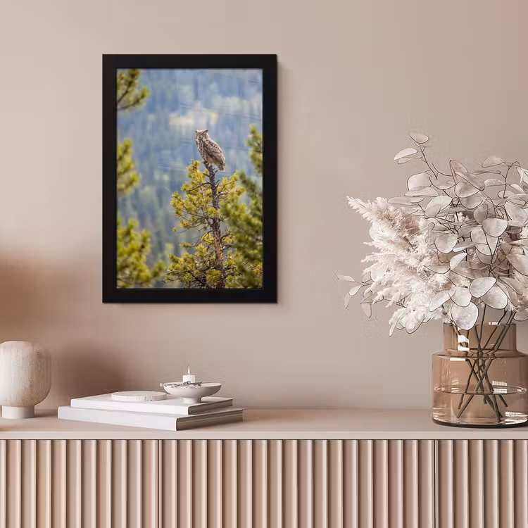 Uil - Oehoe - Bomen - Natuur fotolijst zwart zonder passe partout klein -sfeer5