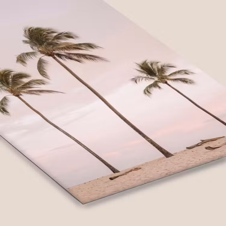 Palmbomen - Zonsondergang - Roze fotolijst zwart zonder passe partout klein -zsfeer6