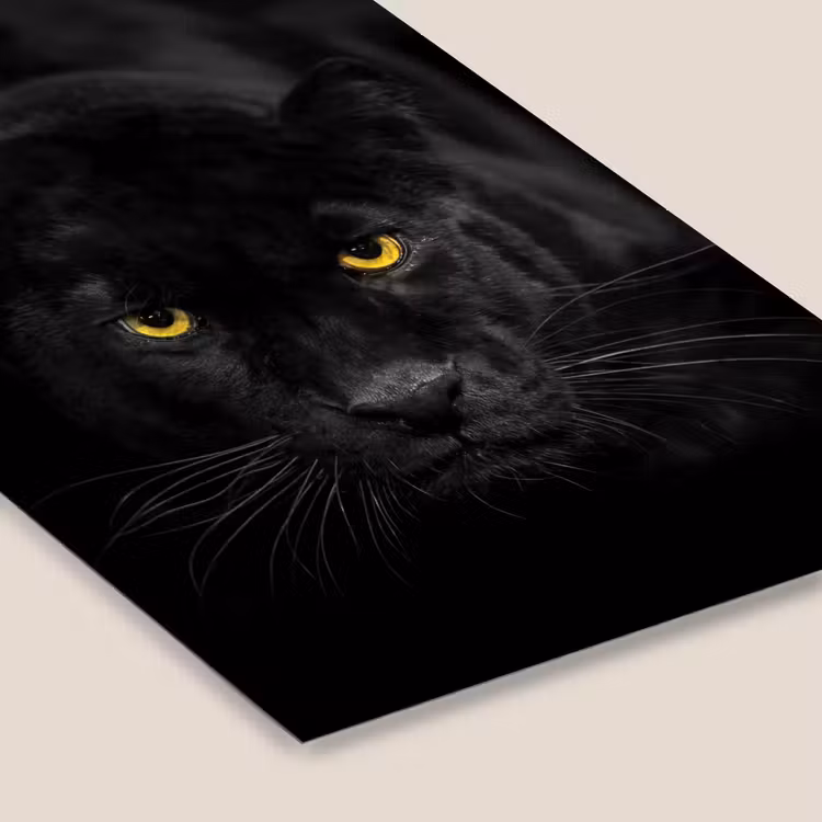 Panter - Dieren - Zwart - Ogen fotolijst zwart zonder passe partout klein -zsfeer6