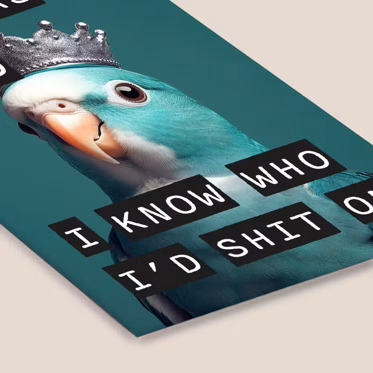 Parkiet - Turquoise - Quotes - Decoratie fotolijst zwart zonder passe partout klein -zsfeer6