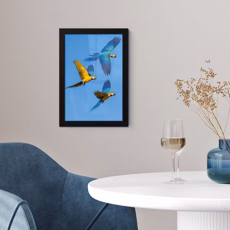Papagaai - Vliegen - Blauw - Geel fotolijst zwart zonder passe partout klein -sfeer4