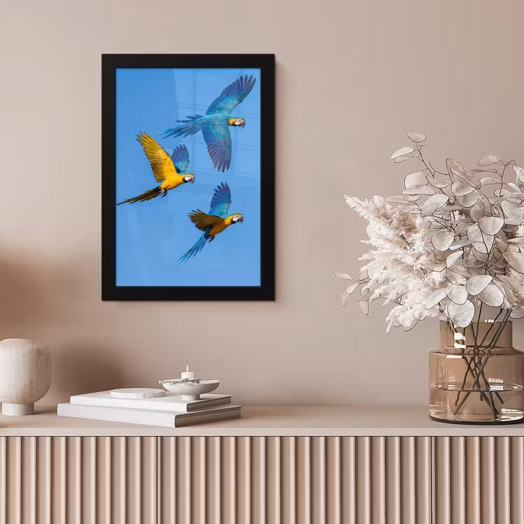 Papagaai - Vliegen - Blauw - Geel fotolijst zwart zonder passe partout klein -sfeer5