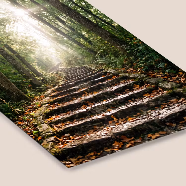 Stenen - Trap - Bos - Natuur fotolijst zwart zonder passe partout klein -zsfeer6