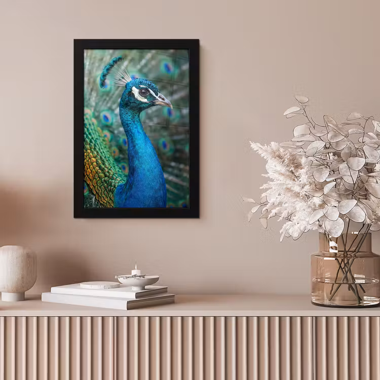 Pauw - Veren - Blauw fotolijst zwart zonder passe partout klein -sfeer5