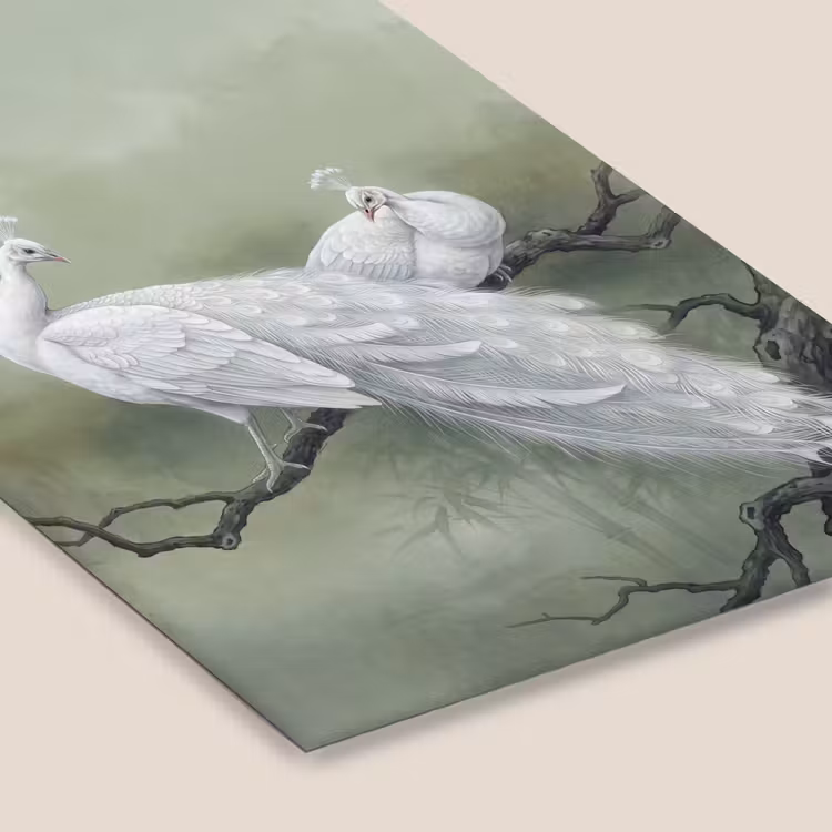 Pauwen - Wit - Natuur - Groen fotolijst zwart zonder passe partout klein -zsfeer6
