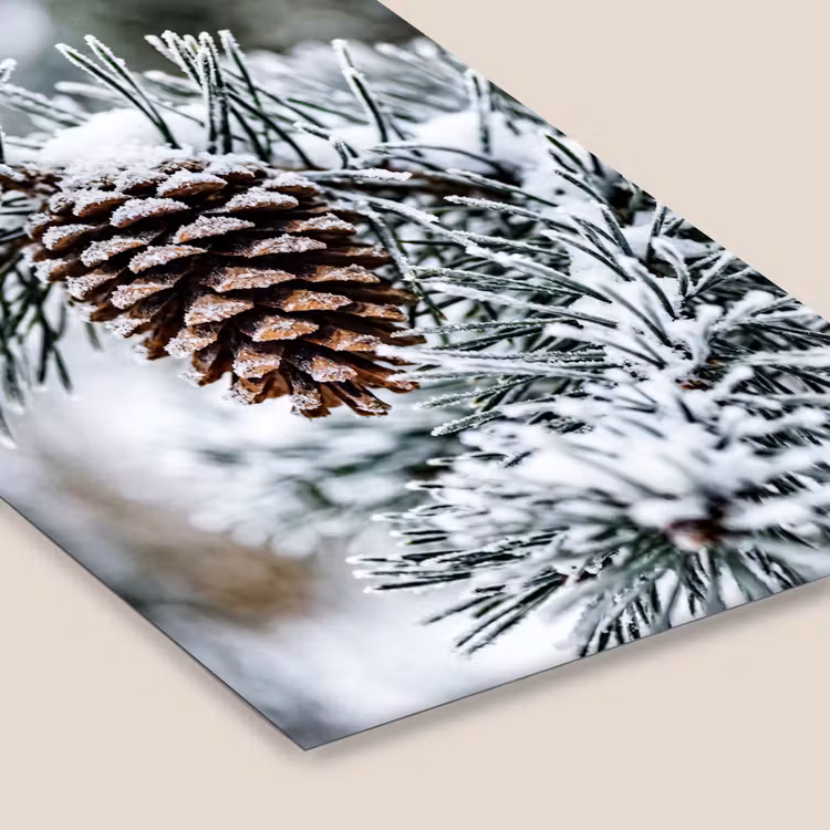 Dennenappel - Tak - Sneeuw - Winter - Sfeervol fotolijst zwart zonder passe partout klein -zsfeer6