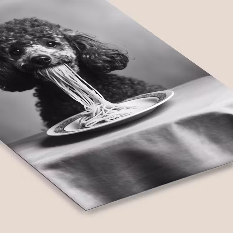Poedel - Hond - Zwart - Wit - Schattig - Pasta fotolijst zwart zonder passe partout klein -zsfeer6