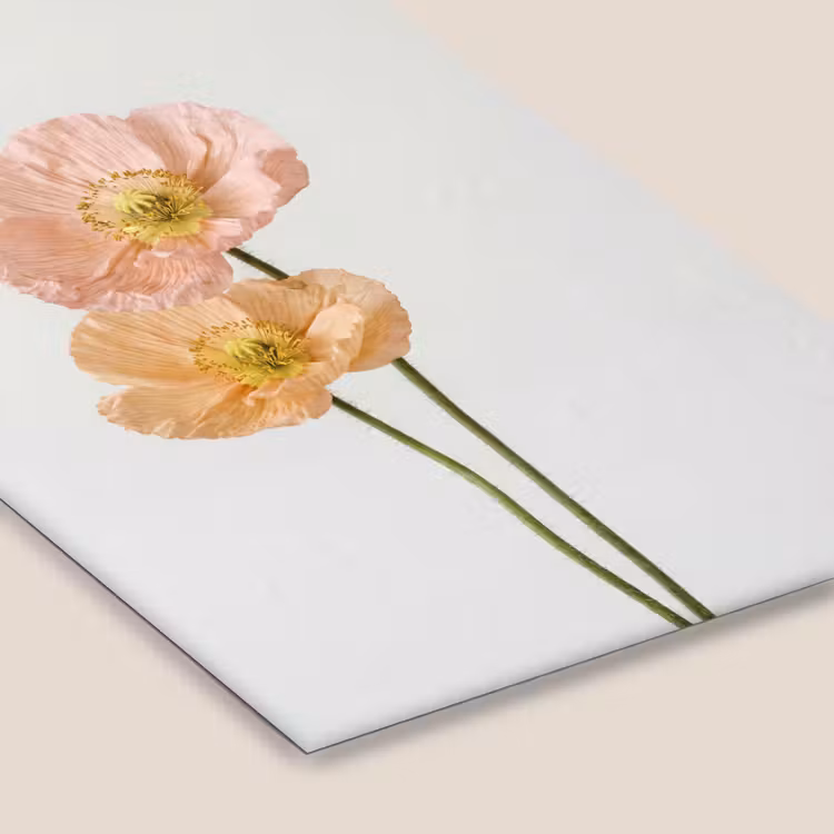 Papavers - Botanisch - Roze fotolijst zwart zonder passe partout klein -zsfeer6