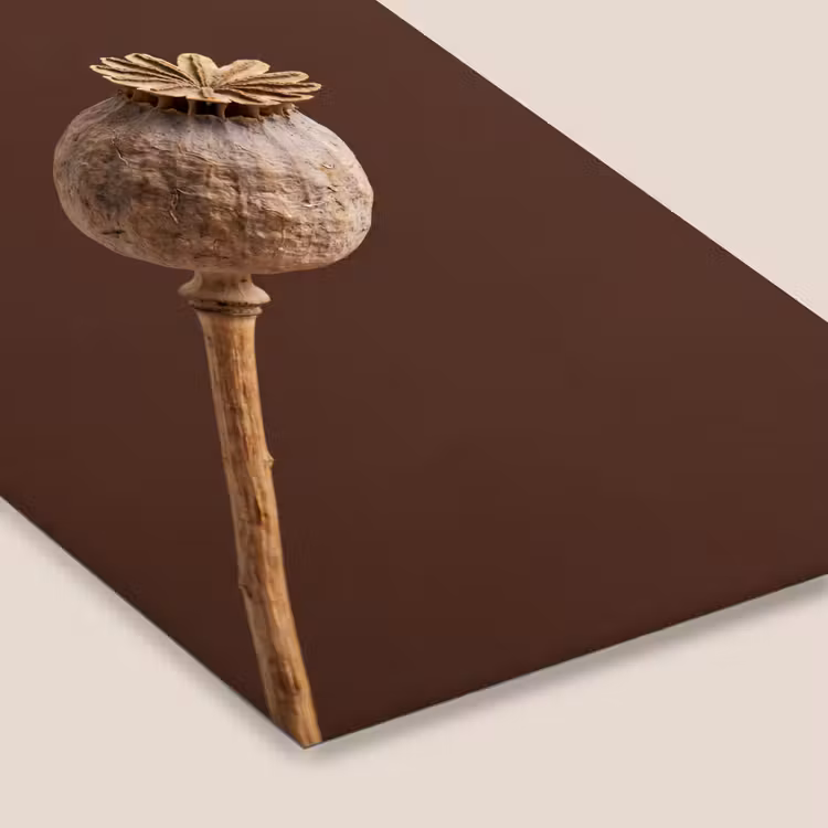 Papaverbol - Droogbloem - Bruin - Minimalistisch fotolijst zwart zonder passe partout klein -zsfeer6