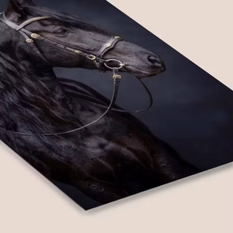 Portret - Paard - Donker fotolijst zwart zonder passe partout klein -zsfeer6