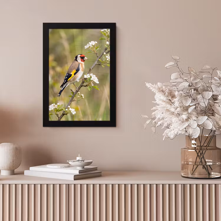 Putter - Bloesem - Lente - Natuur - Kleurrijk fotolijst zwart zonder passe partout klein -sfeer5