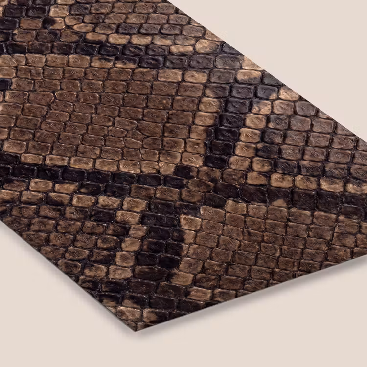 Python - Schubben - Brons fotolijst zwart zonder passe partout klein -zsfeer6