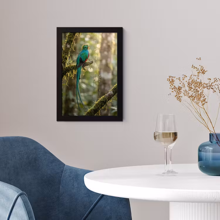 Quetzal - Jungle - Natuur - Groen fotolijst zwart zonder passe partout klein -sfeer4