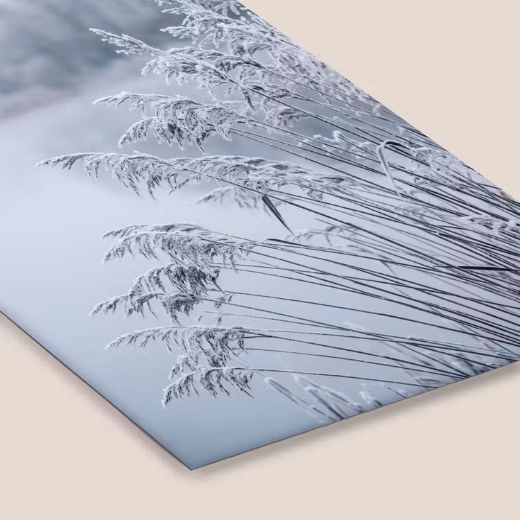 Riet - Bevroren - Winter - Natuur fotolijst zwart zonder passe partout klein -zsfeer6