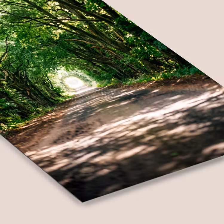 Weg - Bomen - Natuur - Groen fotolijst zwart zonder passe partout klein -zsfeer6