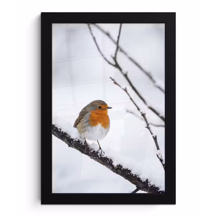 Roodborstje - Tak - Sneeuw - Winter - Levendig fotolijst zwart zonder passe partout klein -3d