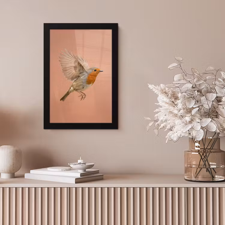 Roodborst - Natuur - Roze fotolijst zwart zonder passe partout klein -sfeer5