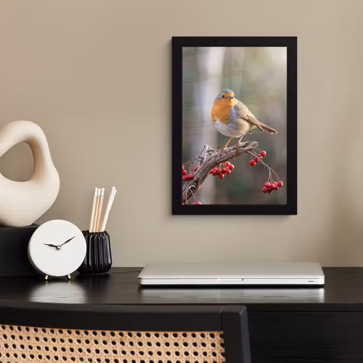 Roodborst - Tak - Bessen - Natuur fotolijst zwart zonder passe partout klein -sfeer1