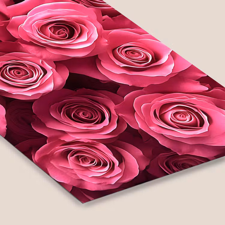 Rozen - Pink - Bloem fotolijst zwart zonder passe partout klein -zsfeer6