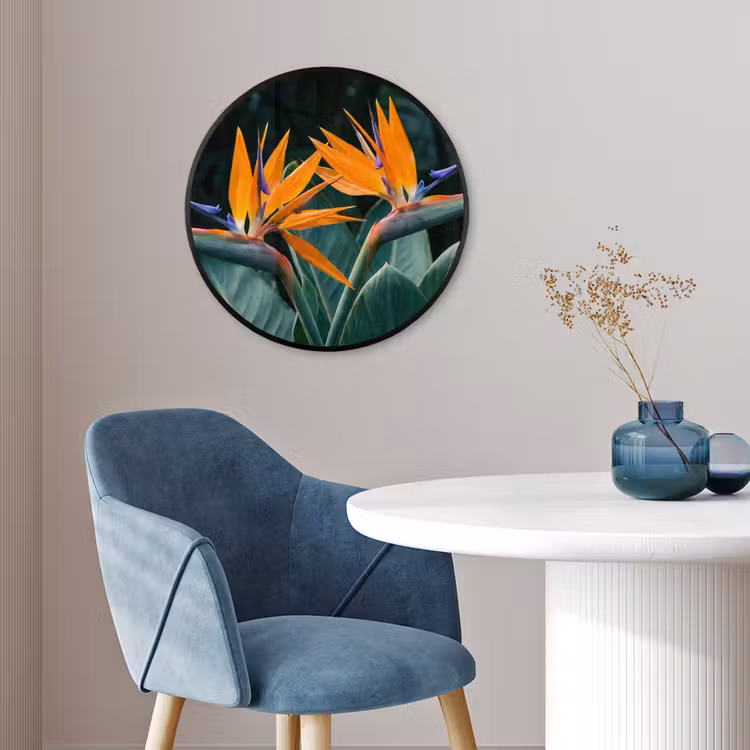 Paradijsvogel - Bloem - Exotisch Fotolijst rond zonder passe partout klein -sfeer2