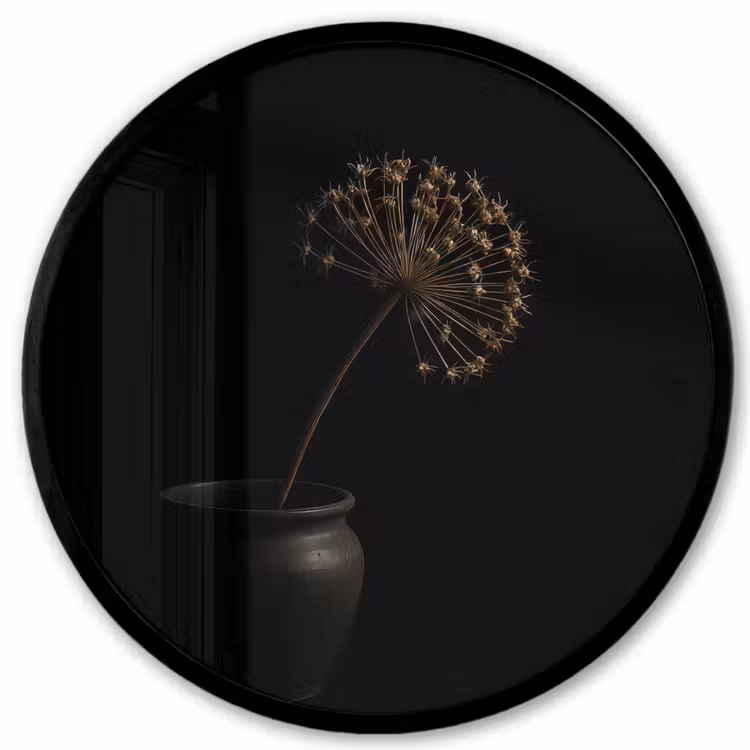 Bol - Gedroogd - Vaas - Zwart Fotolijst rond zonder passe partout klein -3d