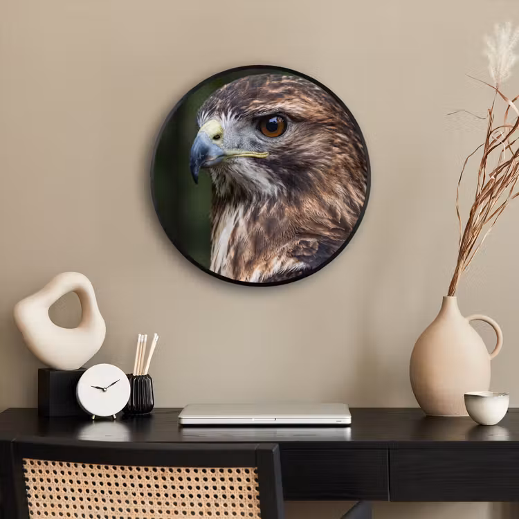 Buizerd - Roofvogel - Natuur - Bruin Fotolijst rond zonder passe partout klein -sfeer1