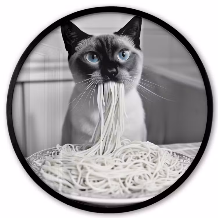 Kat - Siamees - Zwart Wit - Schattig - Dieren Fotolijst rond zonder passe partout klein -3d