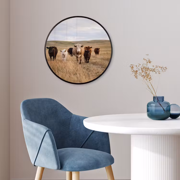 Runderen - Kudde - Landschap - Weide - Rustig Fotolijst rond zonder passe partout klein -sfeer2