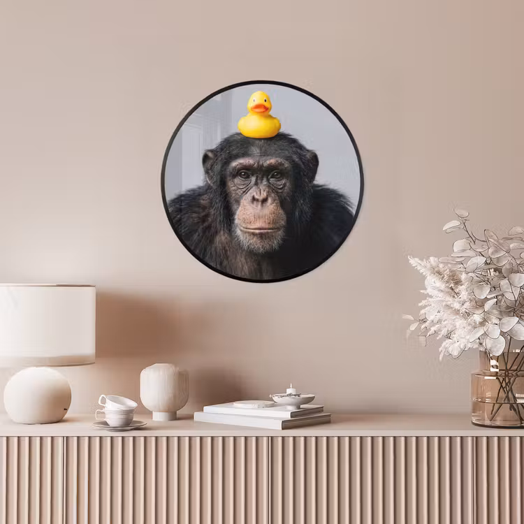 Chimpansee - Badeend - Grijs Fotolijst rond zonder passe partout klein -sfeer3