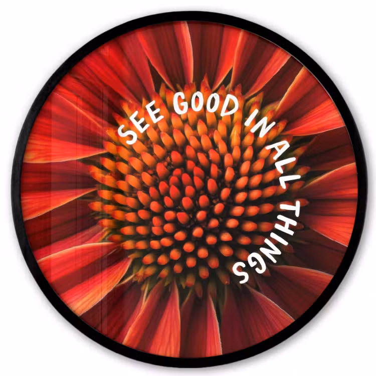 Close up - Bloem - Quote - Rood Fotolijst rond zonder passe partout klein -3d