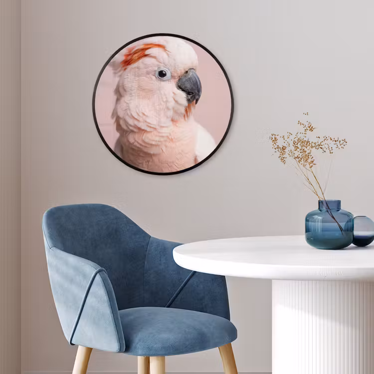 Kaketoe - Portret - Roze Fotolijst rond zonder passe partout klein -sfeer2