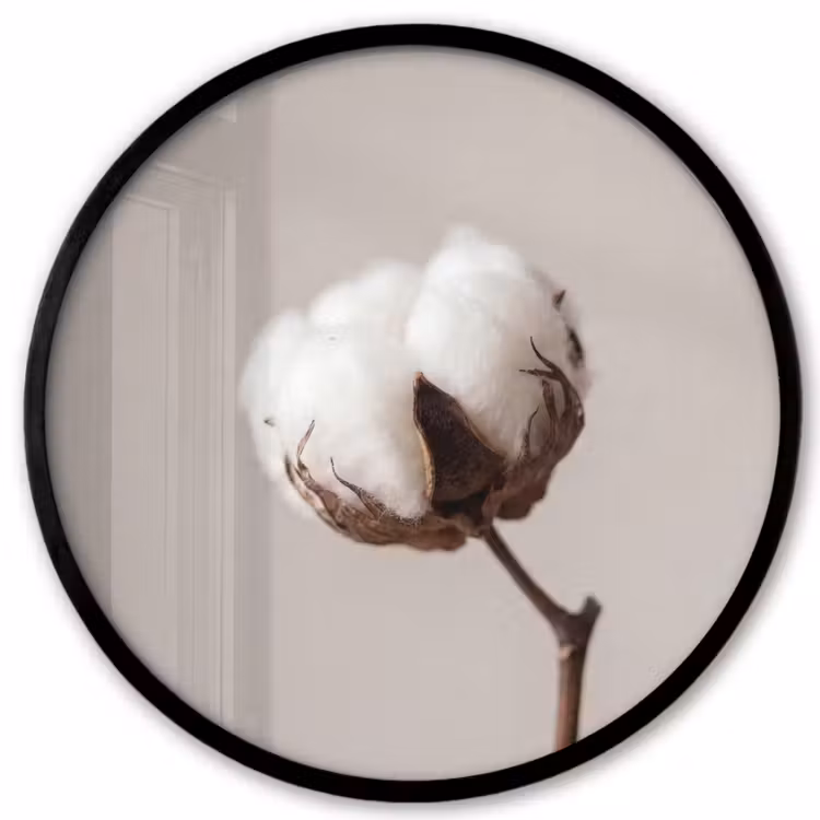 Katoenbol - Minimalistisch - Wit Fotolijst rond zonder passe partout klein -3d