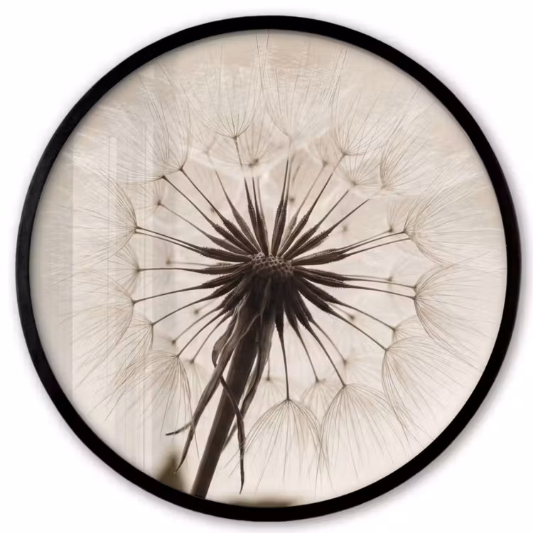 Paardenbloem - Minimalistisch - Wit Fotolijst rond zonder passe partout klein -3d