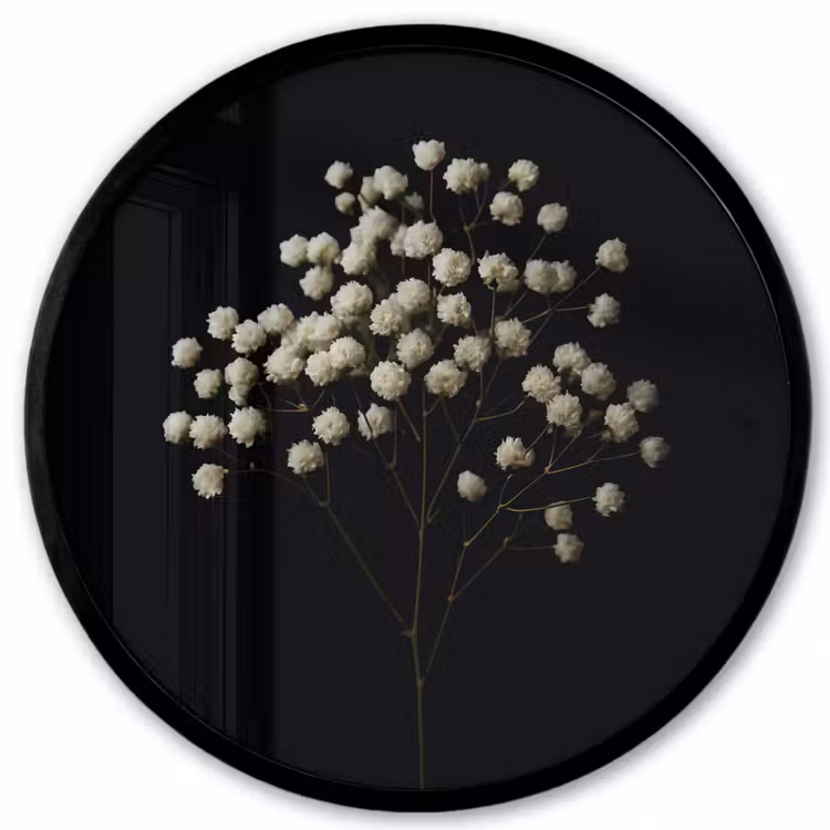 Gipskruid - Bloemetjes - Wit - Minimalistisch Fotolijst rond zonder passe partout klein -3d