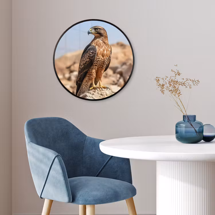 Valk - Vogel - Rots - Macht Fotolijst rond zonder passe partout klein -sfeer2