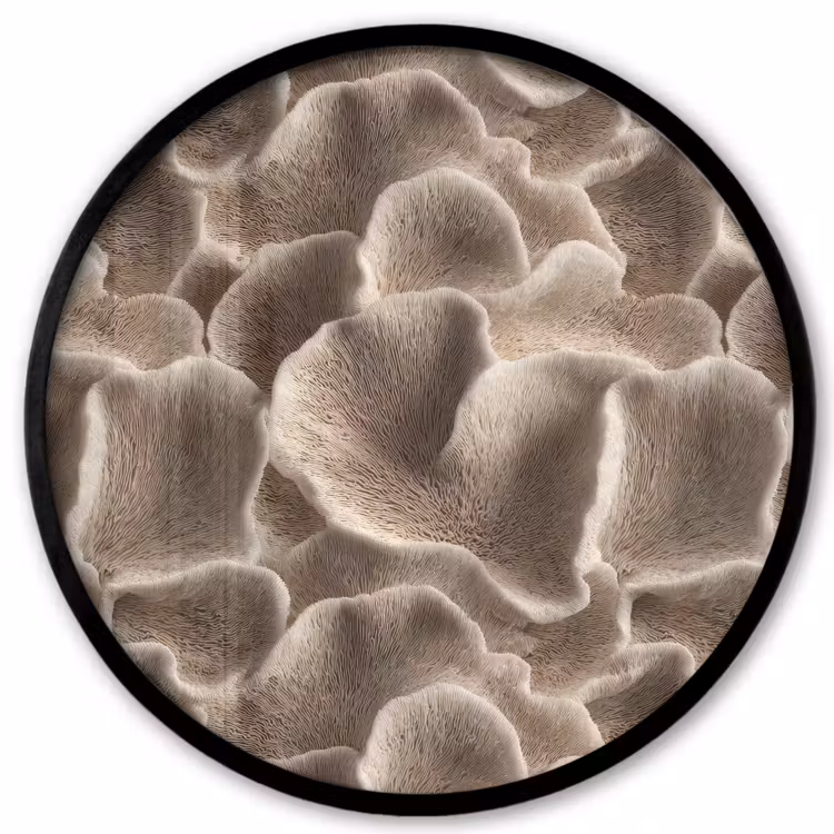 Waaiervorm - Beige - Vezel textuur Fotolijst rond zonder passe partout klein 856 -3d