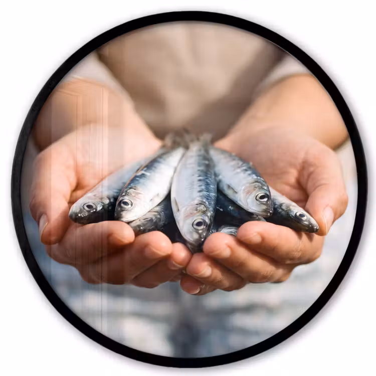Photo Frame Round - Fish - Hands - Nature - Vis - Handen - Natuur Fotolijst rond zonder passe partout klein