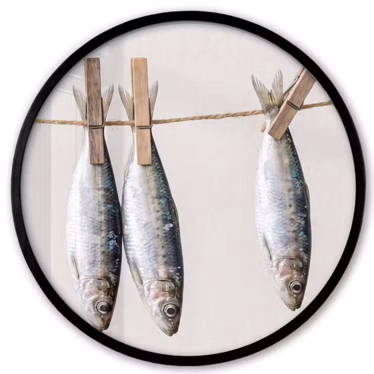 Photo Frame Round - Fish - Hanging - Food - Vis - Hangend - Eten Fotolijst rond zonder passe partout klein