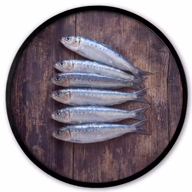 Photo Frame Round - Fish - Wood - Food - Vis - Hout - Eten Fotolijst rond zonder passe partout klein