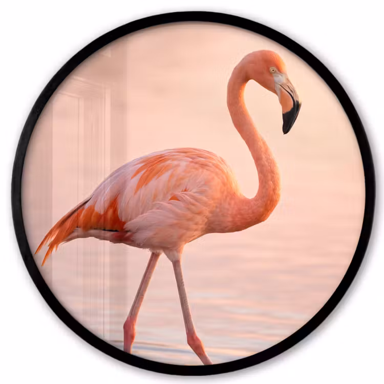 Flamingo - Water - Roze Fotolijst rond zonder passe partout klein -3d