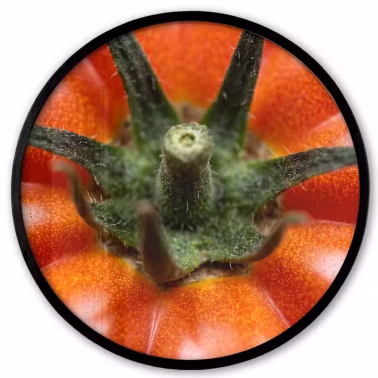 Photo Frame Round - Food - Tomato - Red - Eten - Tomaat - Rood Fotolijst rond zonder passe partout klein
