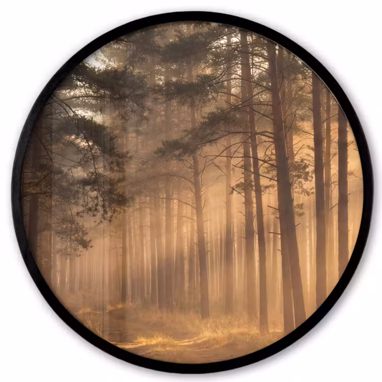 Bos - Mist - Zonlicht Fotolijst rond zonder passe partout klein -3d