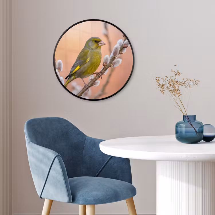 Groenling - Katjes - Lente - Natuur - Zacht Fotolijst rond zonder passe partout klein -sfeer2