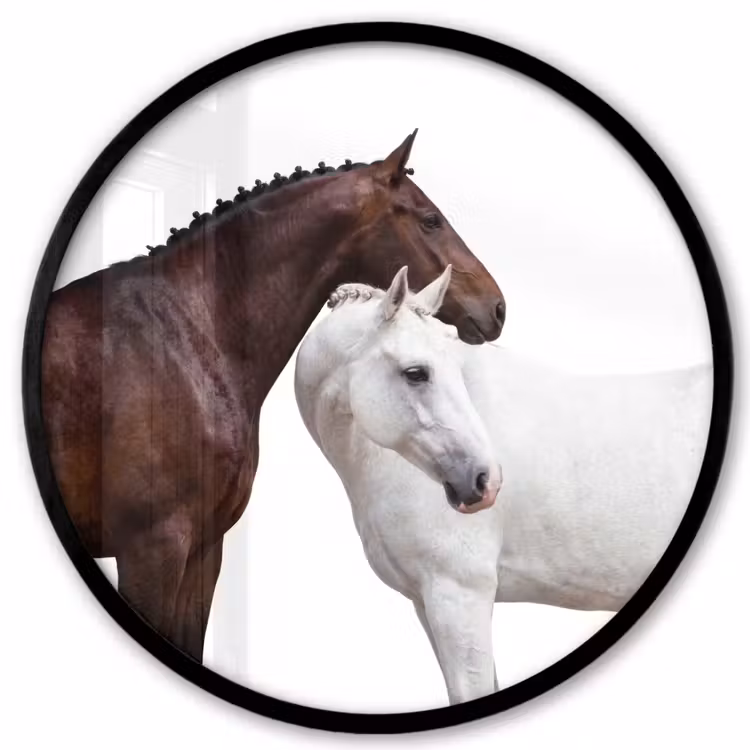Paard - Modern - Balans Fotolijst rond zonder passe partout klein -3d