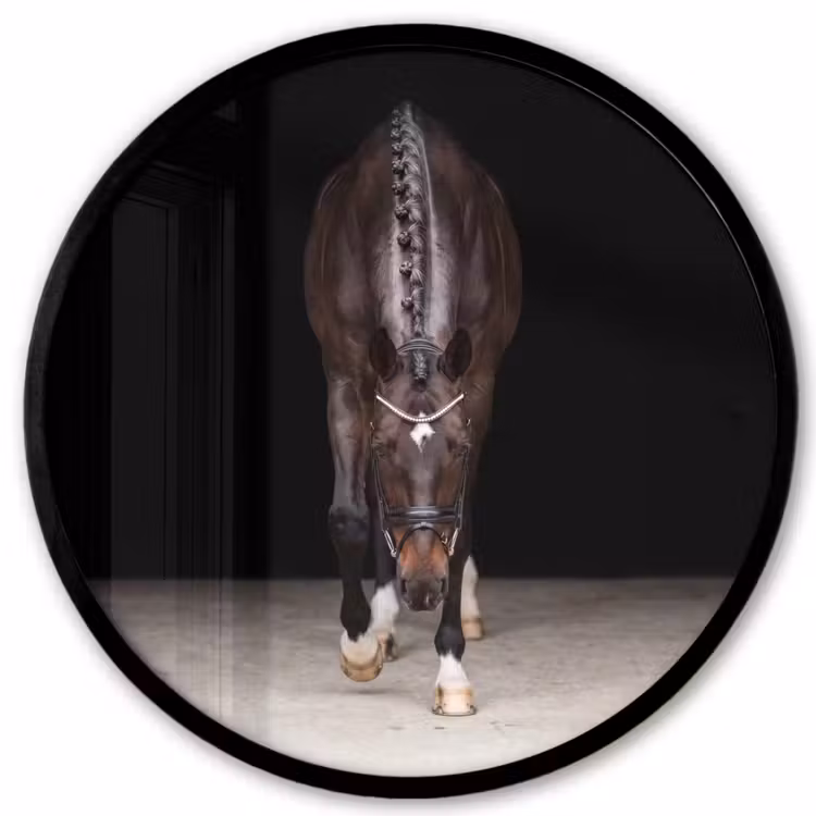 Paard - Modern - Portret Fotolijst rond zonder passe partout klein -3d