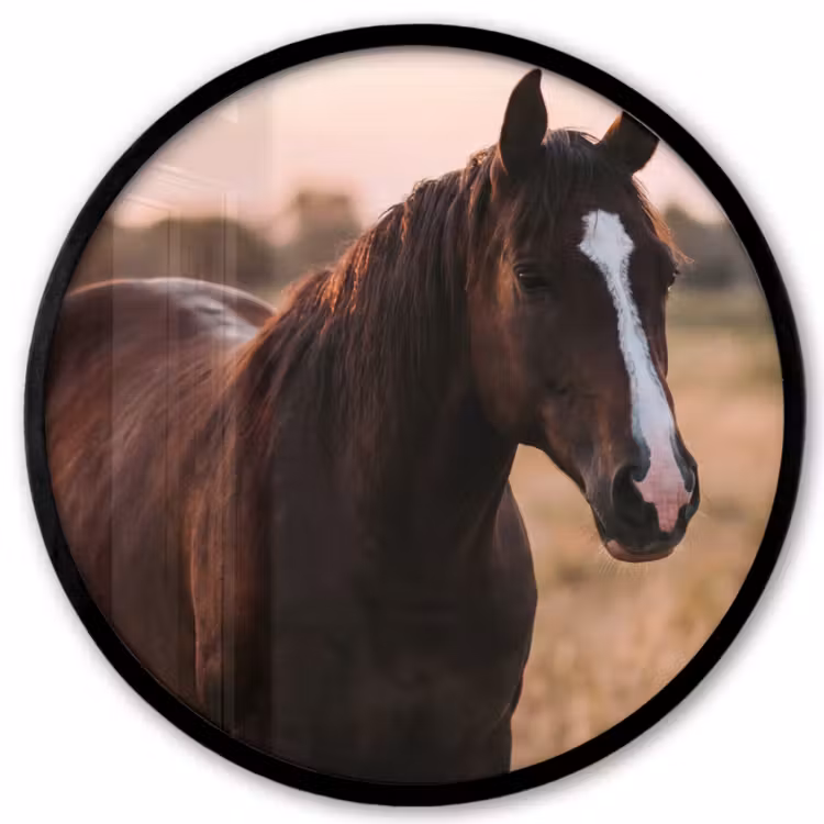Paard - Zonsondergang - Bruin Fotolijst rond zonder passe partout klein -3d