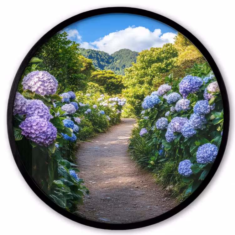 Hortsensia - Pad - Bloemen Fotolijst rond zonder passe partout klein -3d