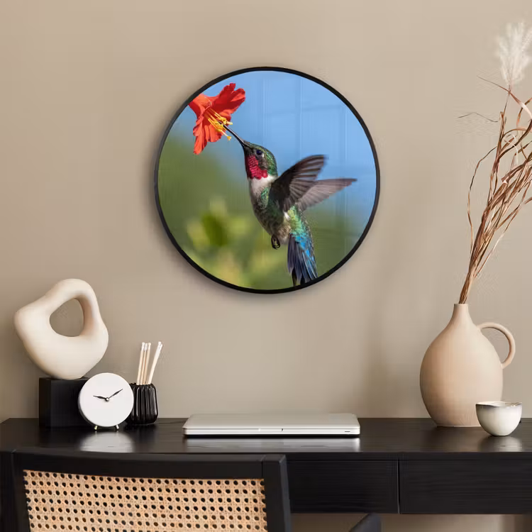 Kolibrie - Bloem - Natuur - Groen Fotolijst rond zonder passe partout klein -sfeer1